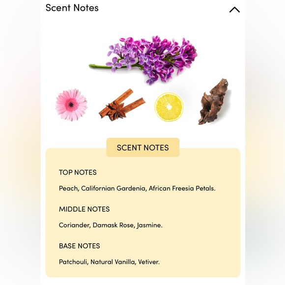 Gucci Rush Eau de Toilette - 75ml - Picture 3 of 3